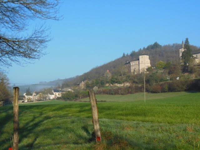 Le Couvent Bed & Breakfast Saint-Just-sur-Viaur Bagian luar foto